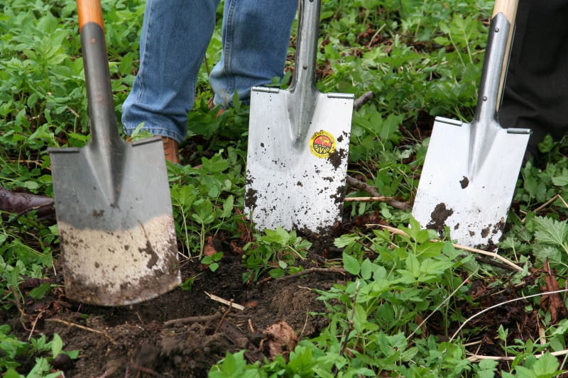 pepiniere-GUILLAUMES-min_work-lawn-flower-tool-green-backyard-1103633-pxhere.com